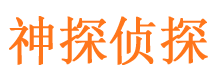 源汇市侦探公司